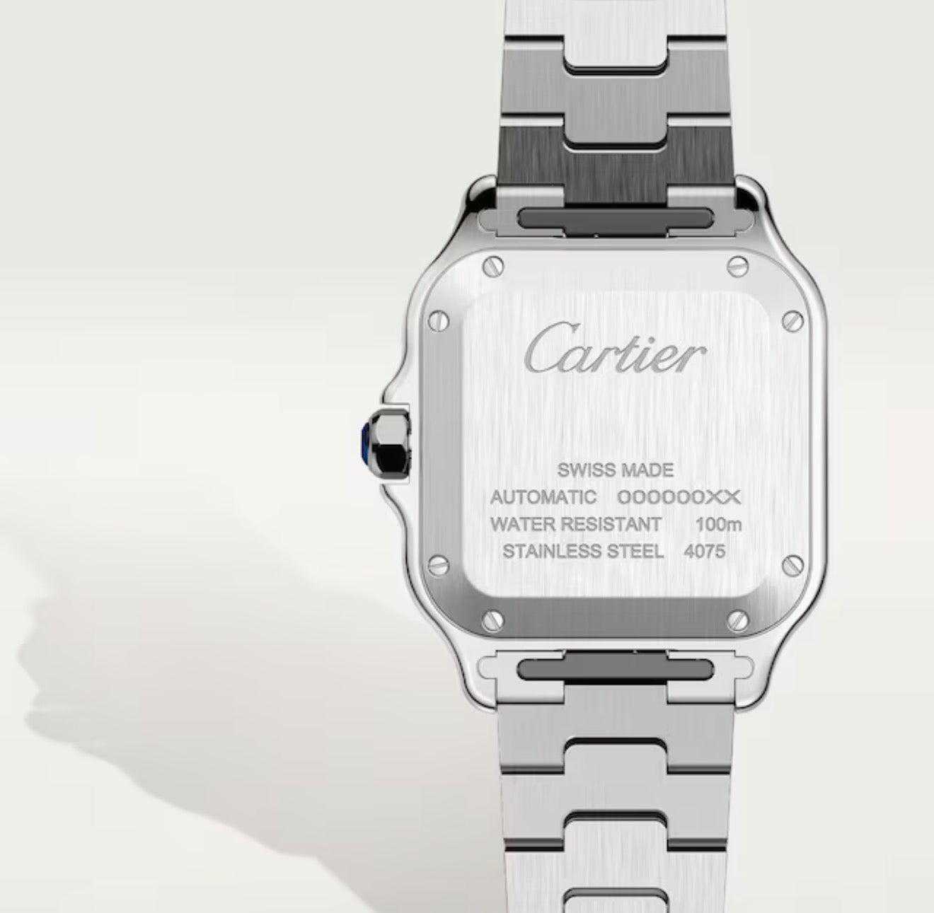 CT Santos De Cartier Watch